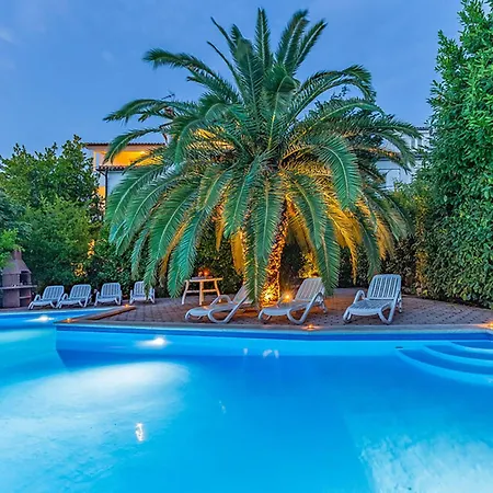 Stunning In With Swimming Pool 아파트